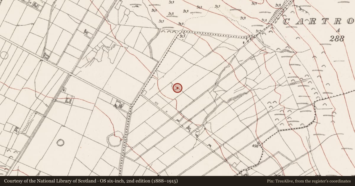 Ordnance Survey six-inch map, 2nd edition (1888–1915) covering the location of Ringfort - rath, Cartronwilliamoge, County Sligo, with a pin at the register's coordinates