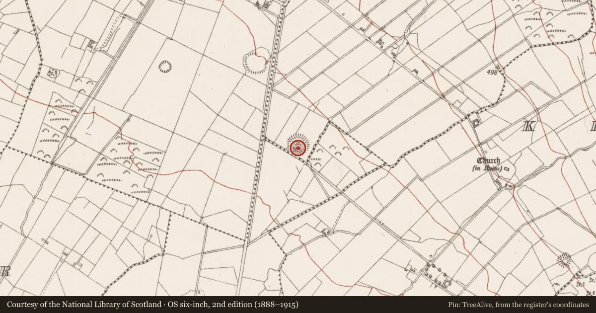Ordnance Survey six-inch map, 2nd edition (1888–1915) covering the location of Ringfort - cashel, Cartronwilliamoge, County Sligo, with a pin at the register's coordinates