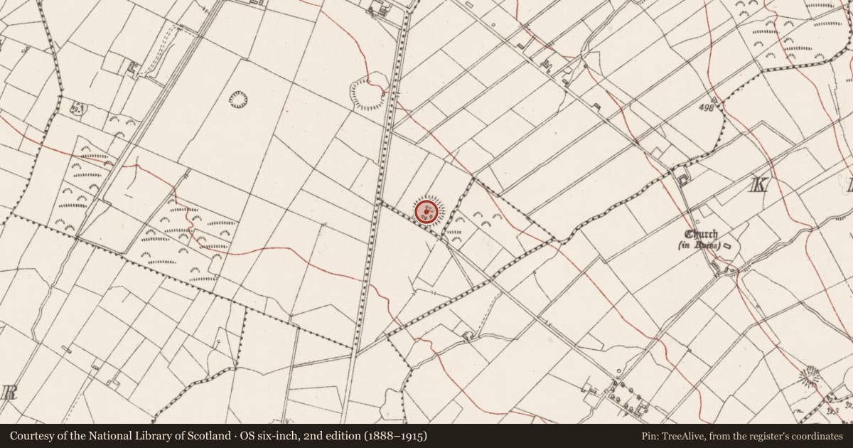 Ordnance Survey six-inch map, 2nd edition (1888–1915) covering the location of Structure, Cartronwilliamoge, County Sligo, with a pin at the register's coordinates