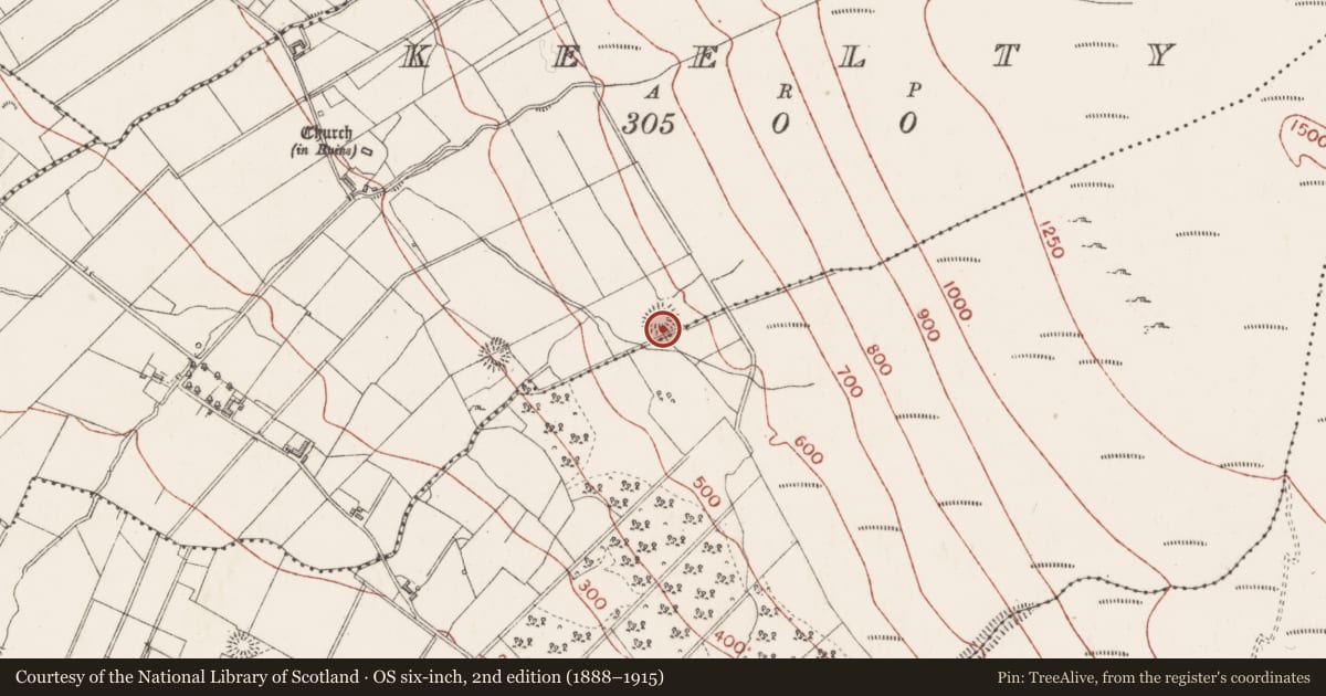 Ordnance Survey six-inch map, 2nd edition (1888–1915) covering the location of Ringfort - rath, Keelty, County Sligo, with a pin at the register's coordinates