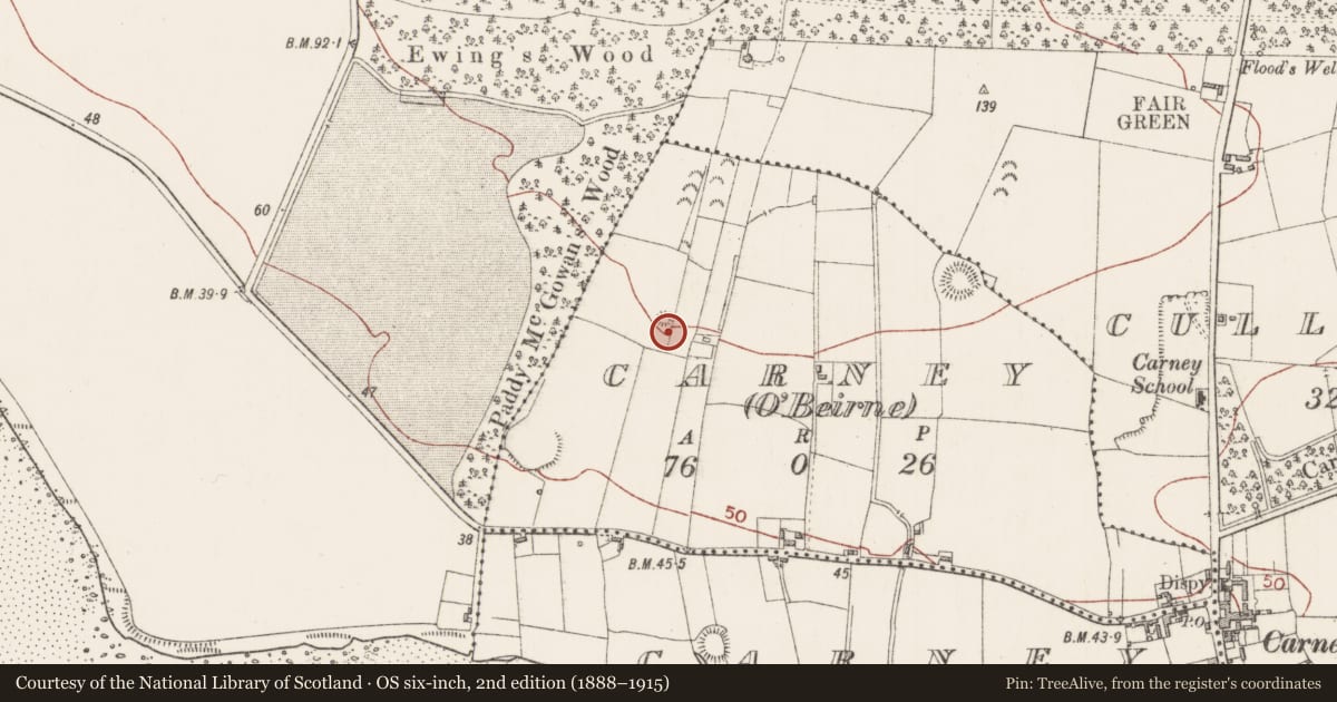 Ordnance Survey six-inch map, 2nd edition (1888–1915) covering the location of Barrow - ring-barrow, Carney (O'Beirne), County Sligo, with a pin at the register's coordinates