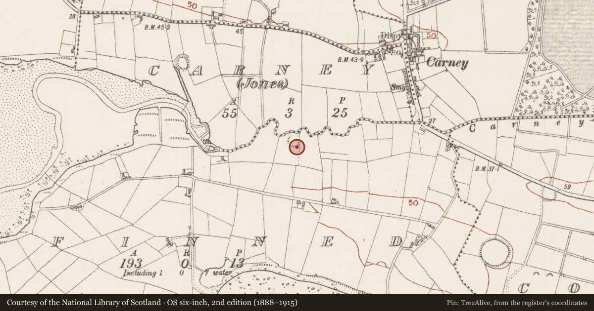 Ordnance Survey six-inch map, 2nd edition (1888–1915) covering the location of Ringfort - rath, Finned, County Sligo, with a pin at the register's coordinates