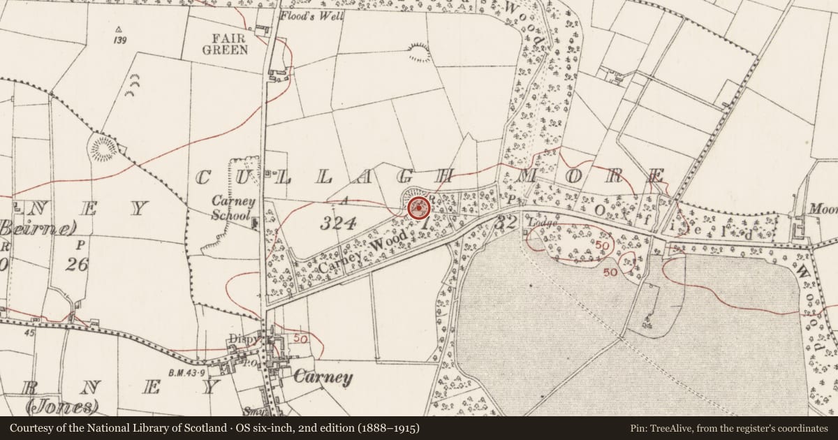 Ordnance Survey six-inch map, 2nd edition (1888–1915) covering the location of Ringfort - rath, Cullagh More, County Sligo, with a pin at the register's coordinates
