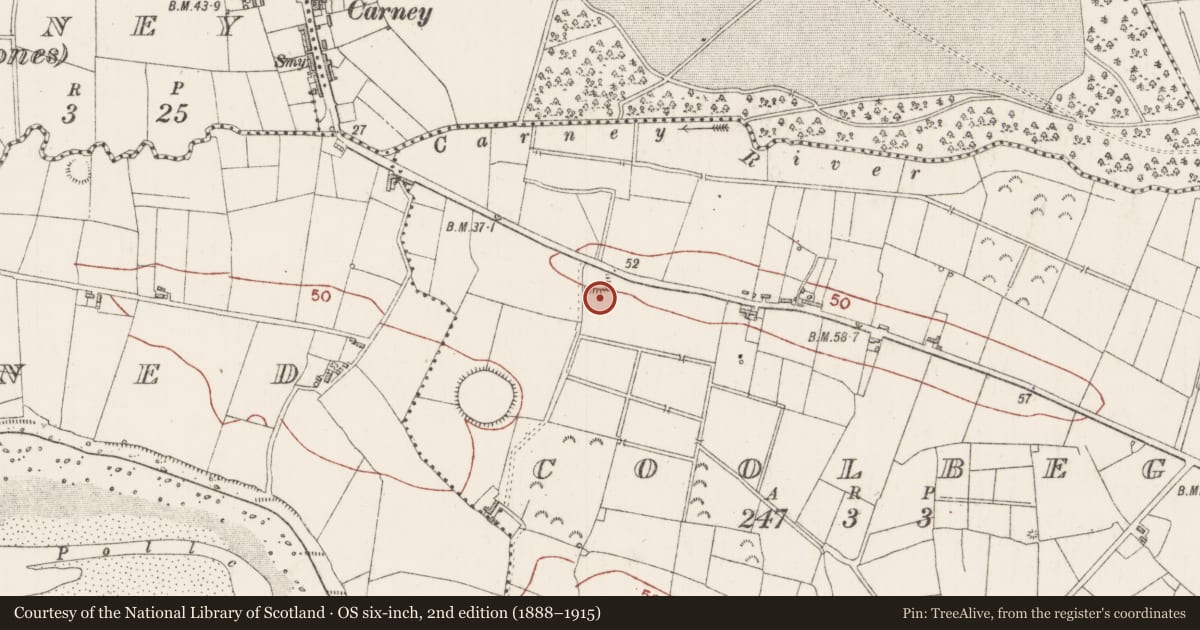 Ordnance Survey six-inch map, 2nd edition (1888–1915) covering the location of Ringfort - unclassified, Coolbeg, County Sligo, with a pin at the register's coordinates