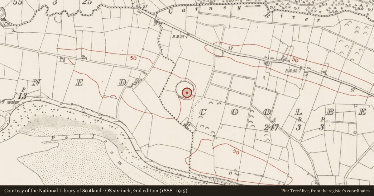 Ordnance Survey six-inch map, 2nd edition (1888–1915) covering the location of Ringfort - rath, Coolbeg, County Sligo, with a pin at the register's coordinates