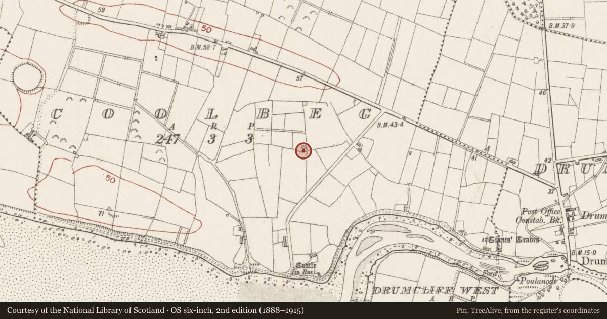 Ordnance Survey six-inch map, 2nd edition (1888–1915) covering the location of Ringfort - unclassified, Coolbeg, County Sligo, with a pin at the register's coordinates