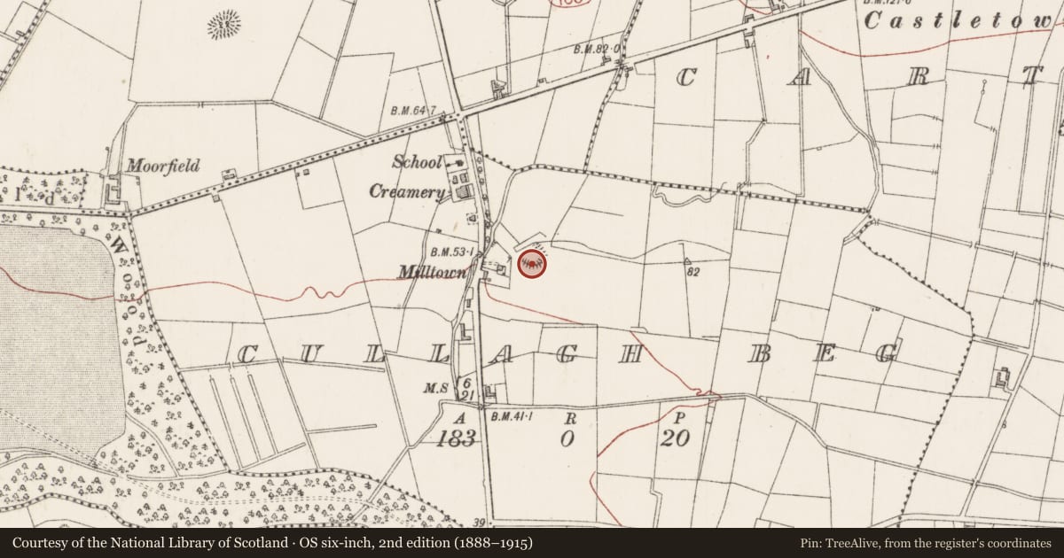 Ordnance Survey six-inch map, 2nd edition (1888–1915) covering the location of Ringfort - rath, Cullagh Beg, County Sligo, with a pin at the register's coordinates