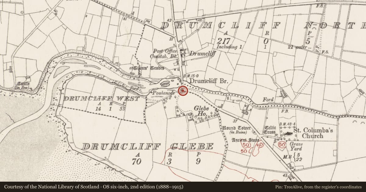 Ordnance Survey six-inch map, 2nd edition (1888–1915) covering the location of Bridge, County Sligo, with a pin at the register's coordinates