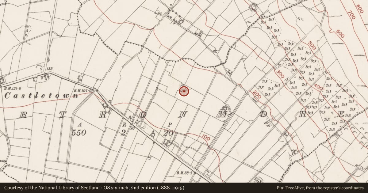 Ordnance Survey six-inch map, 2nd edition (1888–1915) covering the location of Ringfort - rath, Cartronmore, County Sligo, with a pin at the register's coordinates