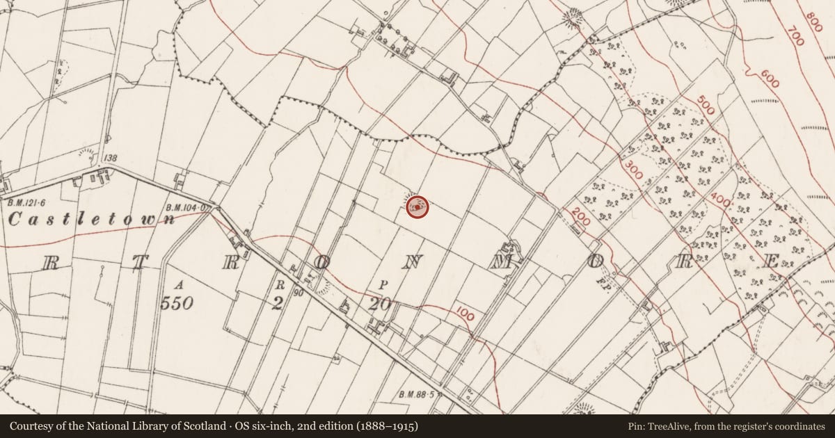 Ordnance Survey six-inch map, 2nd edition (1888–1915) covering the location of Souterrain, Cartronmore, County Sligo, with a pin at the register's coordinates