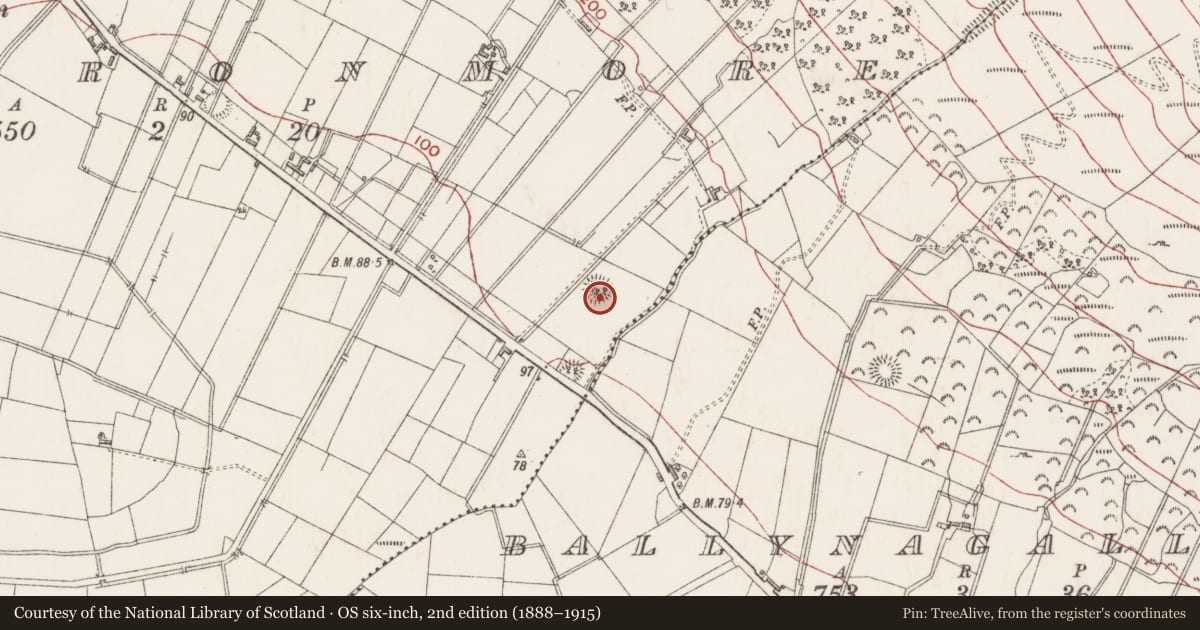 Ordnance Survey six-inch map, 2nd edition (1888–1915) covering the location of Ringfort - rath, Cartronmore, County Sligo, with a pin at the register's coordinates