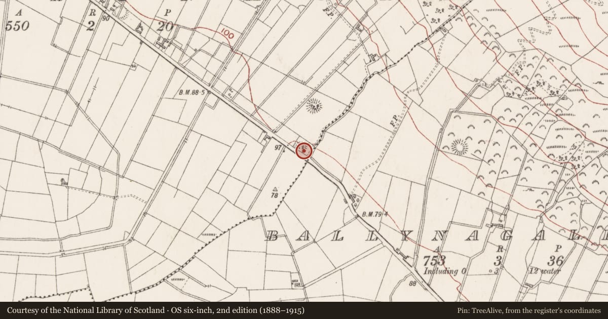 Ordnance Survey six-inch map, 2nd edition (1888–1915) covering the location of Ringfort - rath, Cartronmore, County Sligo, with a pin at the register's coordinates