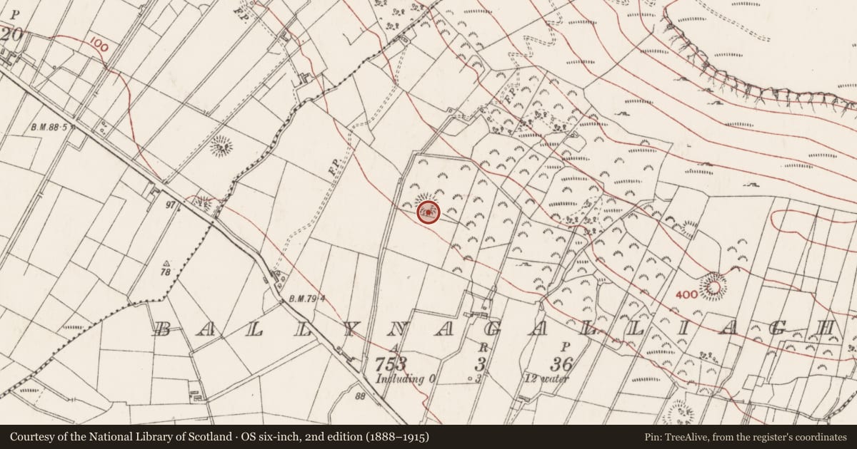 Ordnance Survey six-inch map, 2nd edition (1888–1915) covering the location of Ringfort - rath, Ballynagalliagh, County Sligo, with a pin at the register's coordinates
