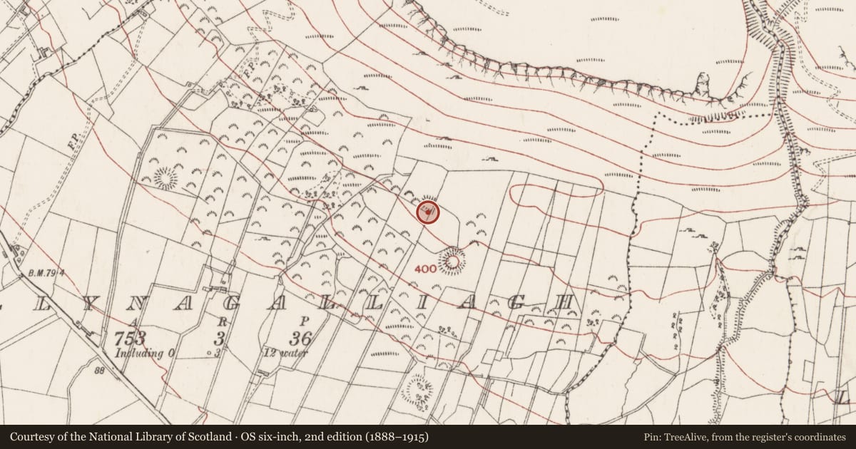 Ordnance Survey six-inch map, 2nd edition (1888–1915) covering the location of Enclosure, Ballynagalliagh, County Sligo, with a pin at the register's coordinates