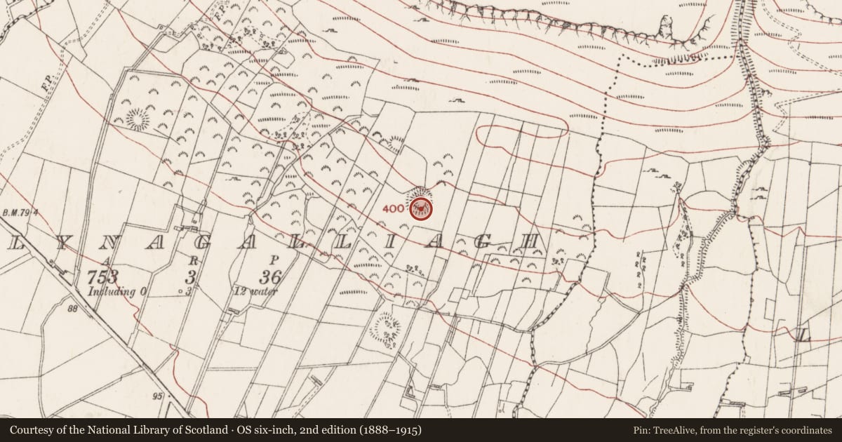 Ordnance Survey six-inch map, 2nd edition (1888–1915) covering the location of Ringfort - rath, Ballynagalliagh, County Sligo, with a pin at the register's coordinates