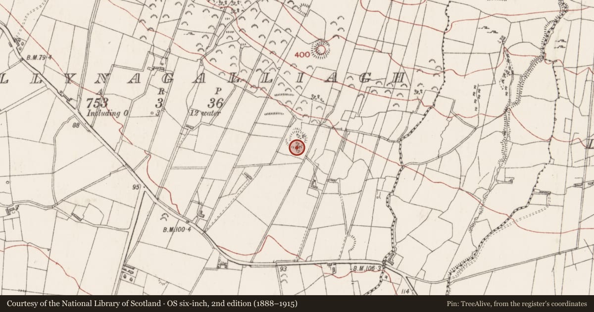 Ordnance Survey six-inch map, 2nd edition (1888–1915) covering the location of Ringfort - rath, Ballynagalliagh, County Sligo, with a pin at the register's coordinates