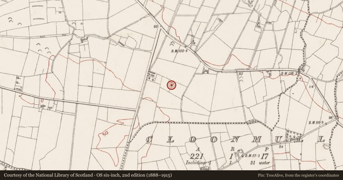 Ordnance Survey six-inch map, 2nd edition (1888–1915) covering the location of Enclosure, Ballynagalliagh, County Sligo, with a pin at the register's coordinates