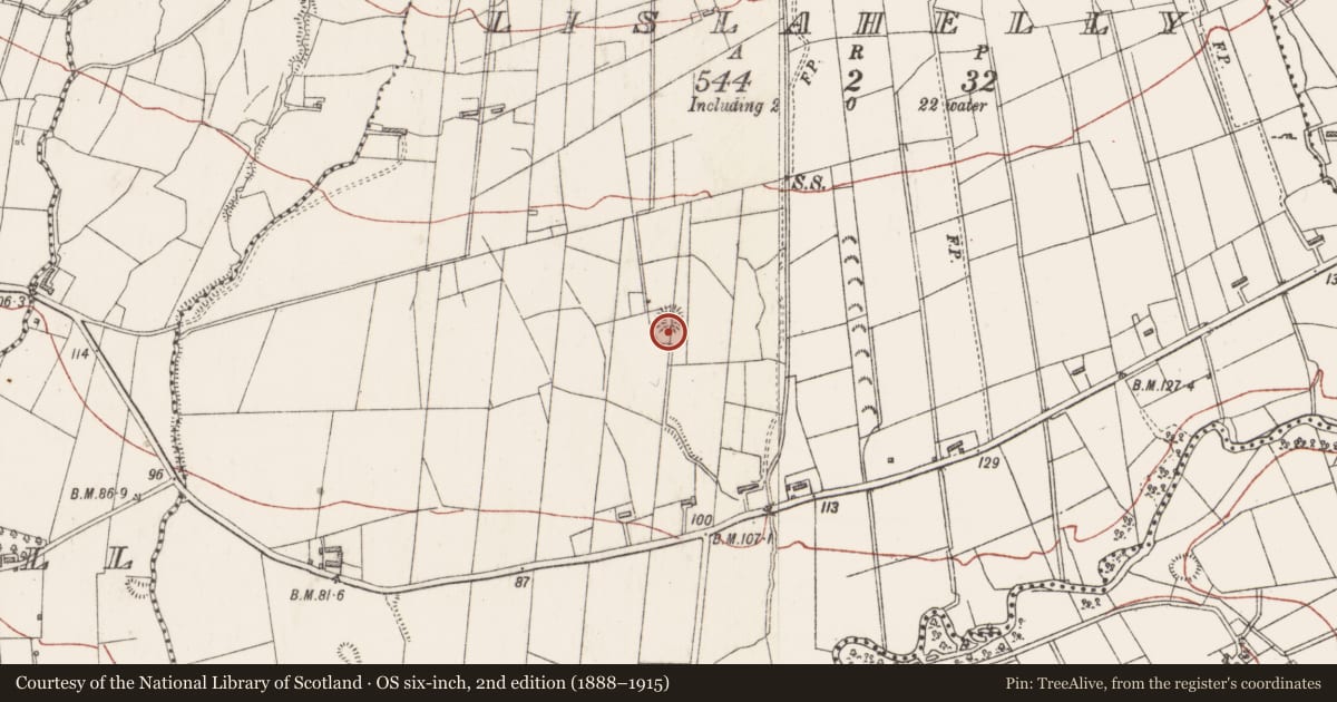Ordnance Survey six-inch map, 2nd edition (1888–1915) covering the location of Ringfort - cashel, Lislahelly, County Sligo, with a pin at the register's coordinates