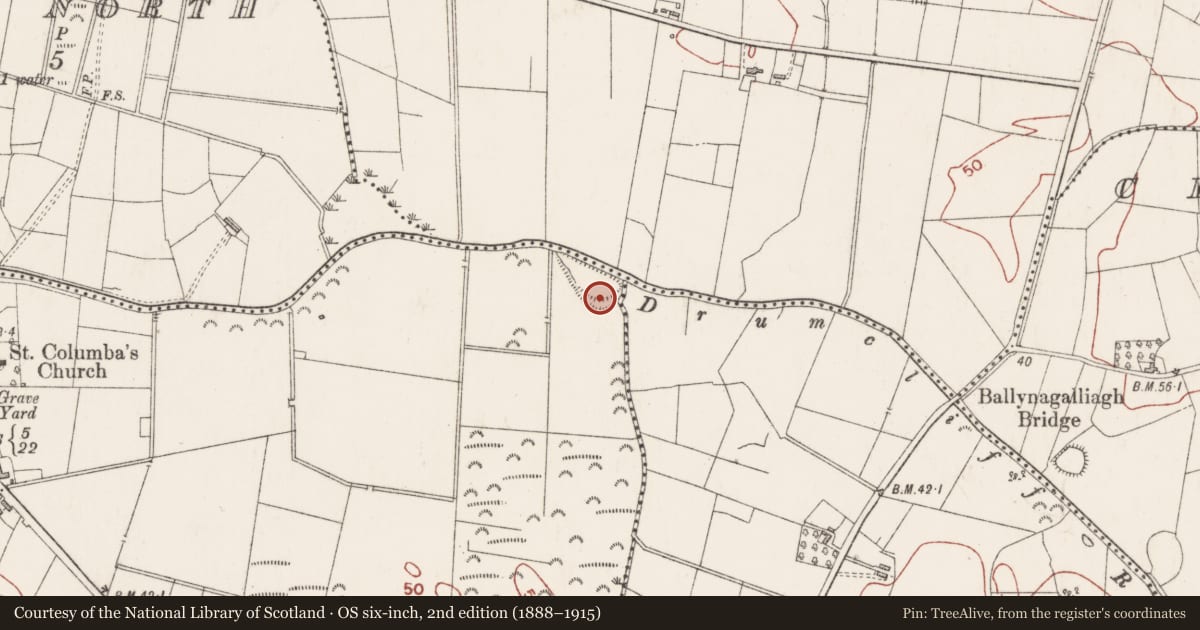 Ordnance Survey six-inch map, 2nd edition (1888–1915) covering the location of Moated site, Drumcliff South, County Sligo, with a pin at the register's coordinates
