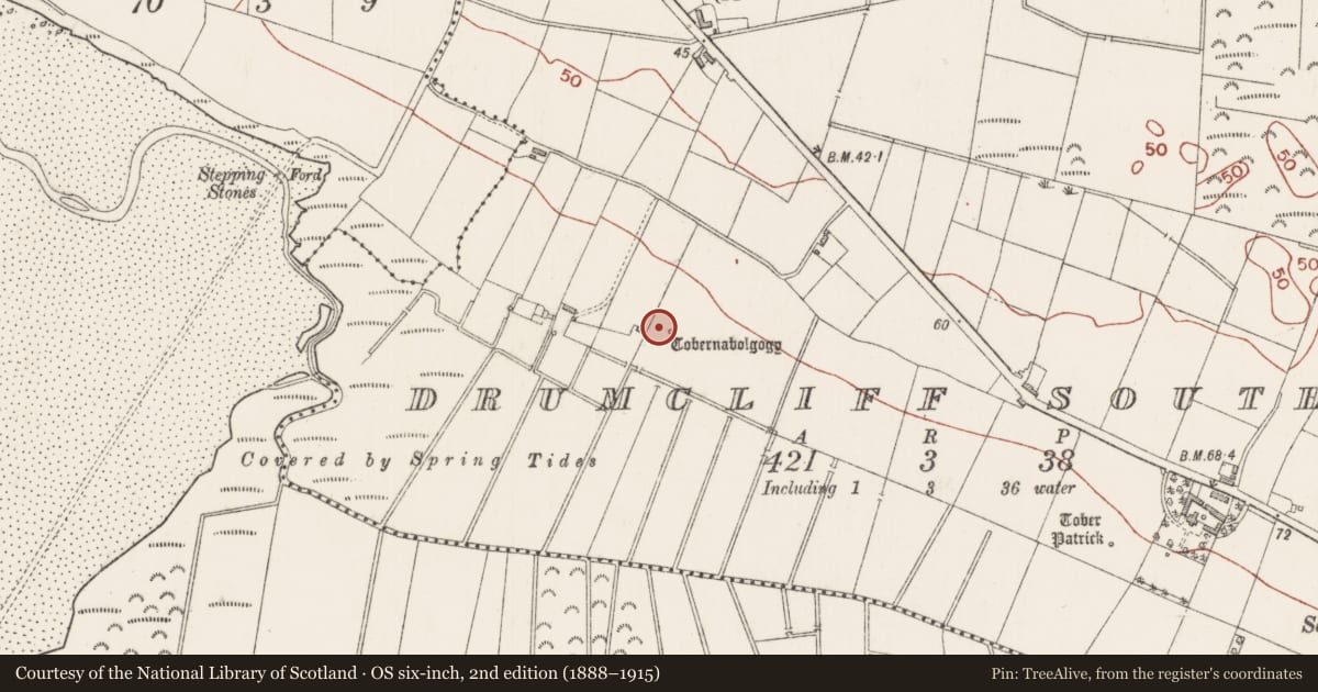 Ordnance Survey six-inch map, 2nd edition (1888–1915) covering the location of Ritual site - holy well, Drumcliff South, County Sligo, with a pin at the register's coordinates