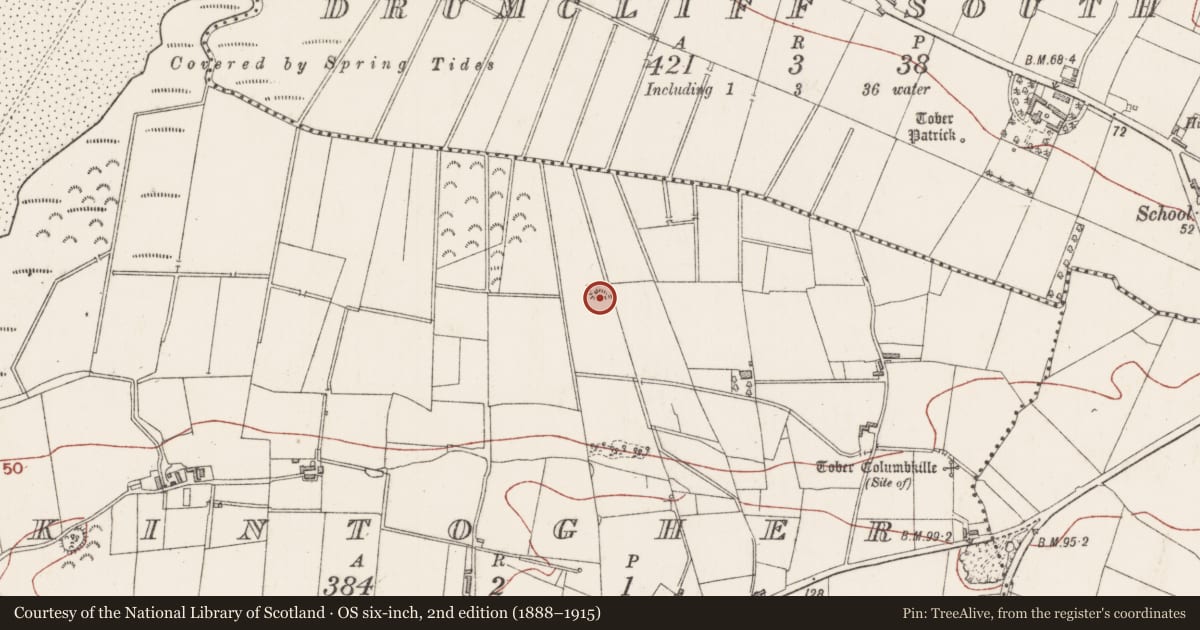 Ordnance Survey six-inch map, 2nd edition (1888–1915) covering the location of Ringfort - rath, Kintogher, County Sligo, with a pin at the register's coordinates