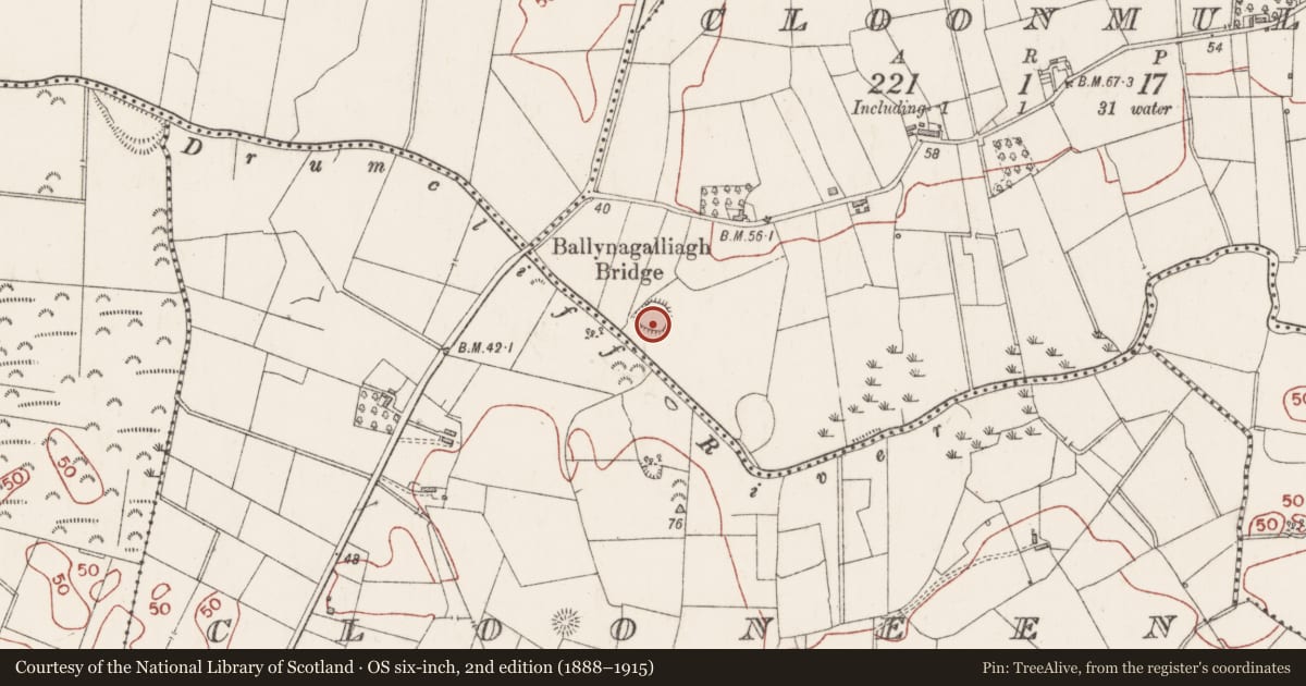 Ordnance Survey six-inch map, 2nd edition (1888–1915) covering the location of Ringfort - unclassified, Cloonmull, County Sligo, with a pin at the register's coordinates