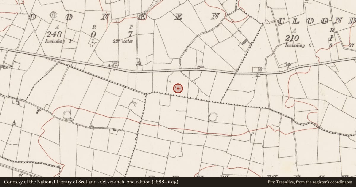 Ordnance Survey six-inch map, 2nd edition (1888–1915) covering the location of Ringfort - rath, Clooneen, County Sligo, with a pin at the register's coordinates