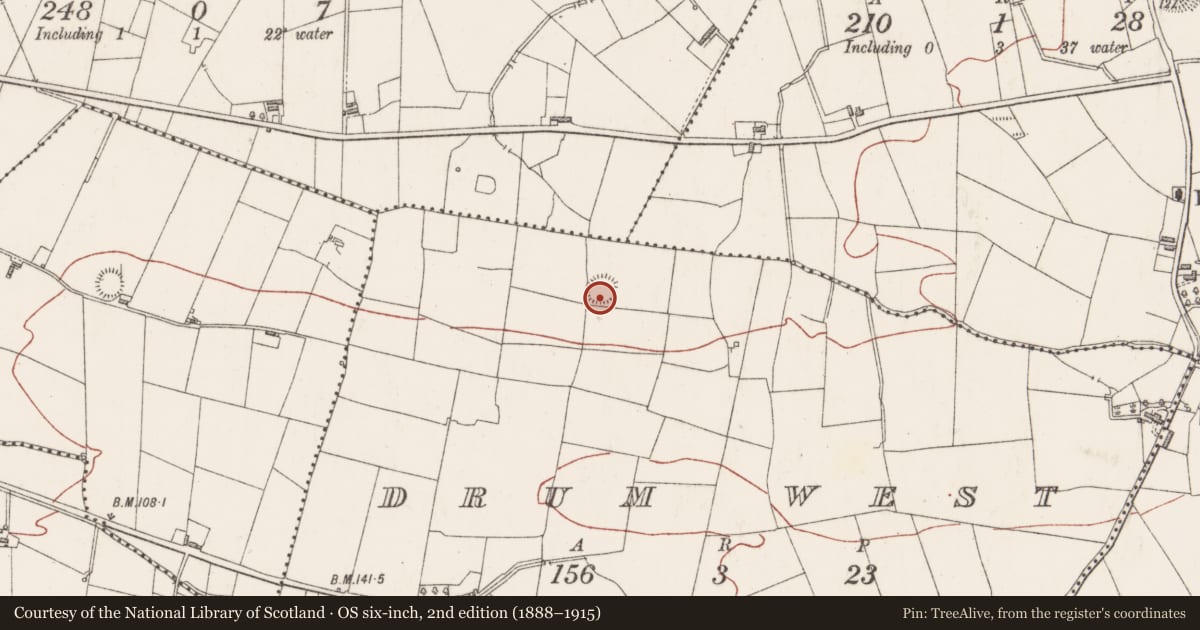 Ordnance Survey six-inch map, 2nd edition (1888–1915) covering the location of Ringfort - rath, Drum West, County Sligo, with a pin at the register's coordinates