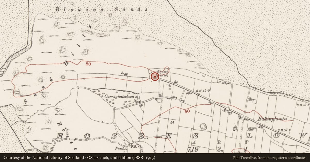 Ordnance Survey six-inch map, 2nd edition (1888–1915) covering the location of Church, Rosses Lower, County Sligo, with a pin at the register's coordinates