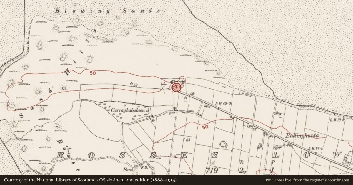 Ordnance Survey six-inch map, 2nd edition (1888–1915) covering the location of Graveyard, Rosses Lower, County Sligo, with a pin at the register's coordinates