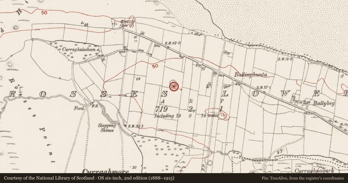 Ordnance Survey six-inch map, 2nd edition (1888–1915) covering the location of Ringfort - rath, Rosses Lower, County Sligo, with a pin at the register's coordinates