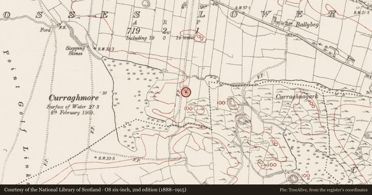 Ordnance Survey six-inch map, 2nd edition (1888–1915) covering the location of Ringfort - rath, Rosses Lower, County Sligo, with a pin at the register's coordinates
