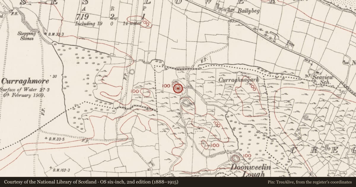 Ordnance Survey six-inch map, 2nd edition (1888–1915) covering the location of Ringfort - rath, Rosses Upper, County Sligo, with a pin at the register's coordinates