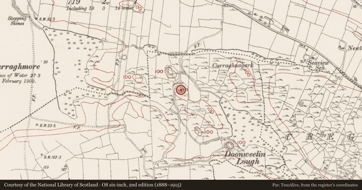Ordnance Survey six-inch map, 2nd edition (1888–1915) covering the location of Ringfort - rath, Rosses Upper, County Sligo, with a pin at the register's coordinates