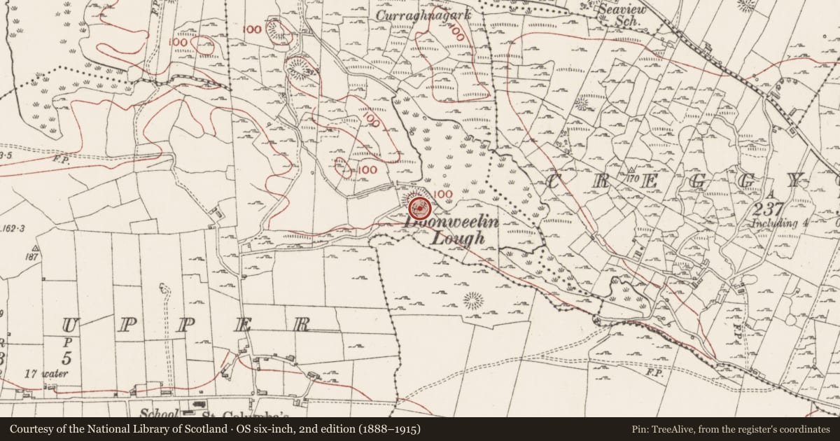Ordnance Survey six-inch map, 2nd edition (1888–1915) covering the location of Ringfort - rath, Rosses Upper, County Sligo, with a pin at the register's coordinates