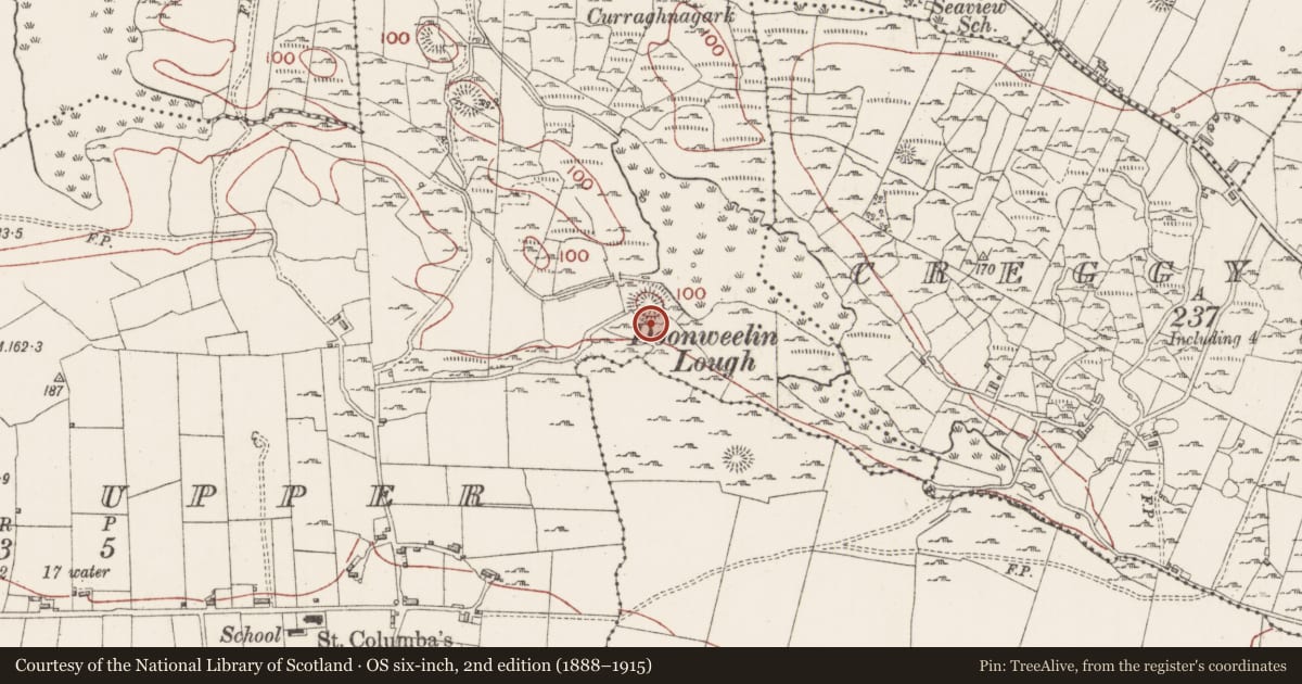 Ordnance Survey six-inch map, 2nd edition (1888–1915) covering the location of Hut site, Rosses Upper, County Sligo, with a pin at the register's coordinates