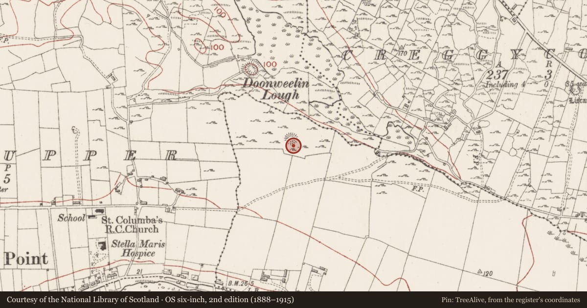 Ordnance Survey six-inch map, 2nd edition (1888–1915) covering the location of Barrow - ring-barrow, Ballyweelin, County Sligo, with a pin at the register's coordinates