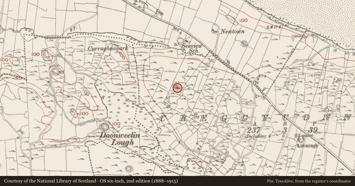 Ordnance Survey six-inch map, 2nd edition (1888–1915) covering the location of Ringfort - unclassified, Creggyconnell, County Sligo, with a pin at the register's coordinates