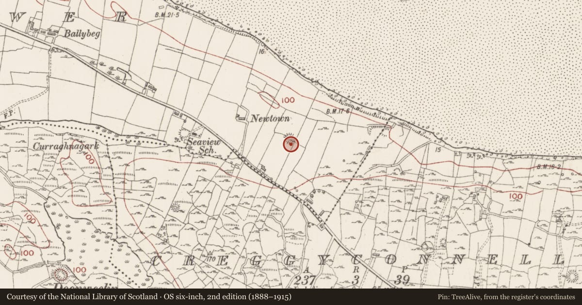 Ordnance Survey six-inch map, 2nd edition (1888–1915) covering the location of Ringfort - rath, Rosses Lower, County Sligo, with a pin at the register's coordinates