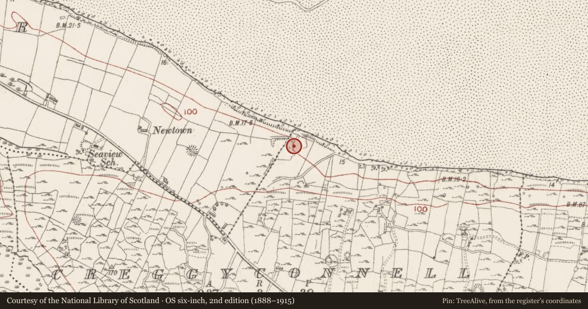 Ordnance Survey six-inch map, 2nd edition (1888–1915) covering the location of Enclosure, Rosses Lower, County Sligo, with a pin at the register's coordinates