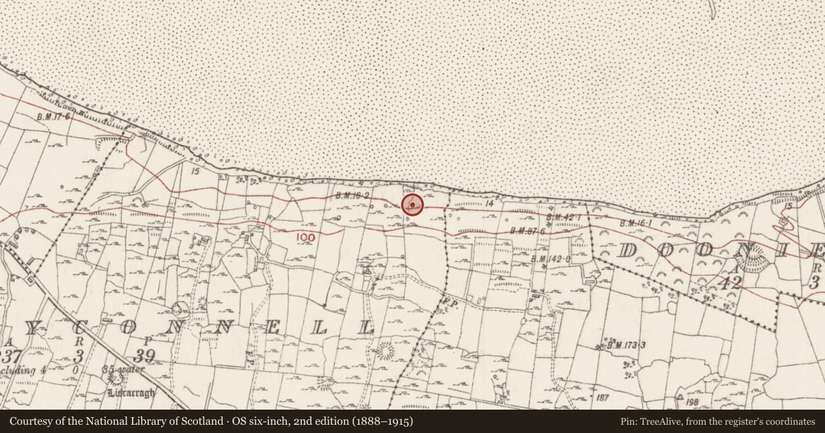 Ordnance Survey six-inch map, 2nd edition (1888–1915) covering the location of Fulacht fia, Creggyconnell, County Sligo, with a pin at the register's coordinates