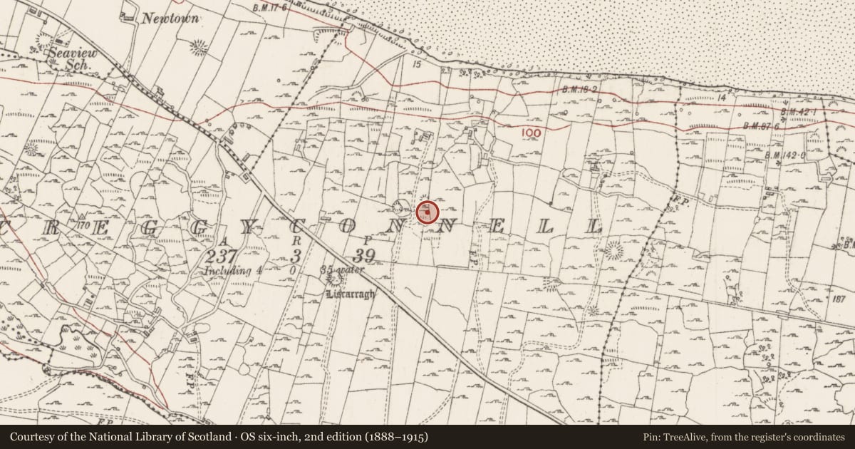 Ordnance Survey six-inch map, 2nd edition (1888–1915) covering the location of Enclosure, Creggyconnell, County Sligo, with a pin at the register's coordinates