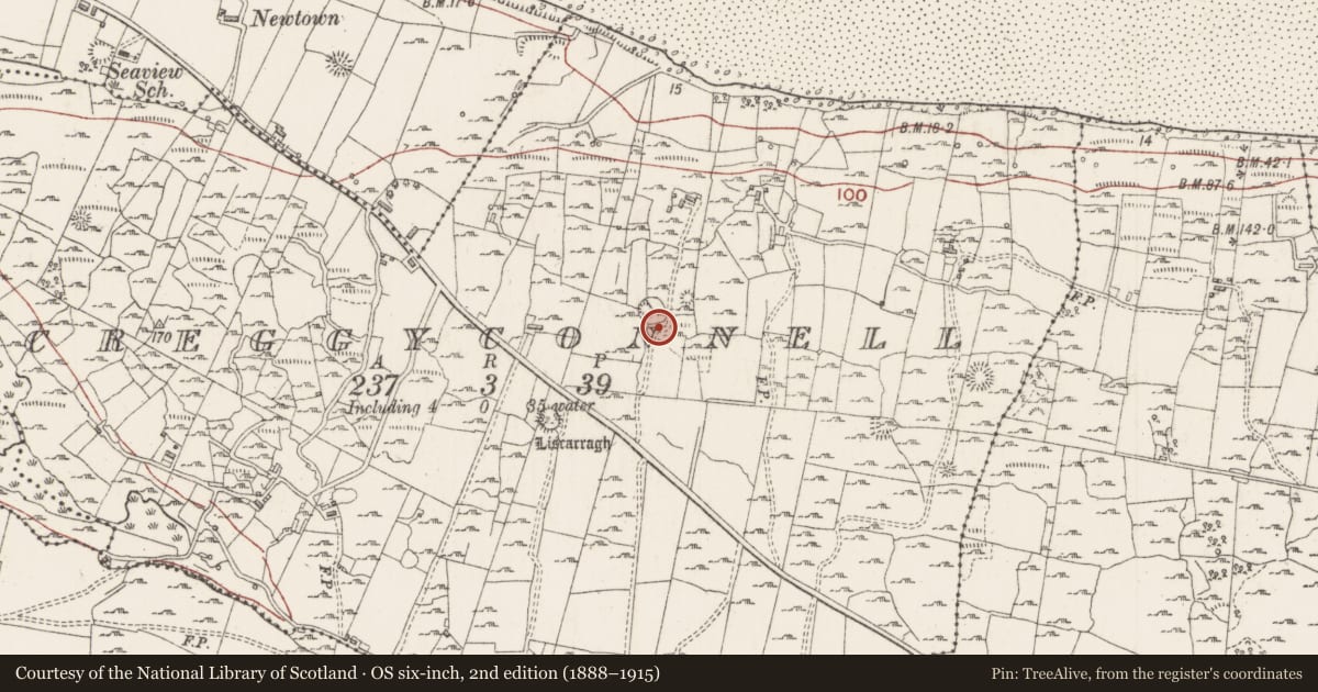 Ordnance Survey six-inch map, 2nd edition (1888–1915) covering the location of Enclosure, Creggyconnell, County Sligo, with a pin at the register's coordinates