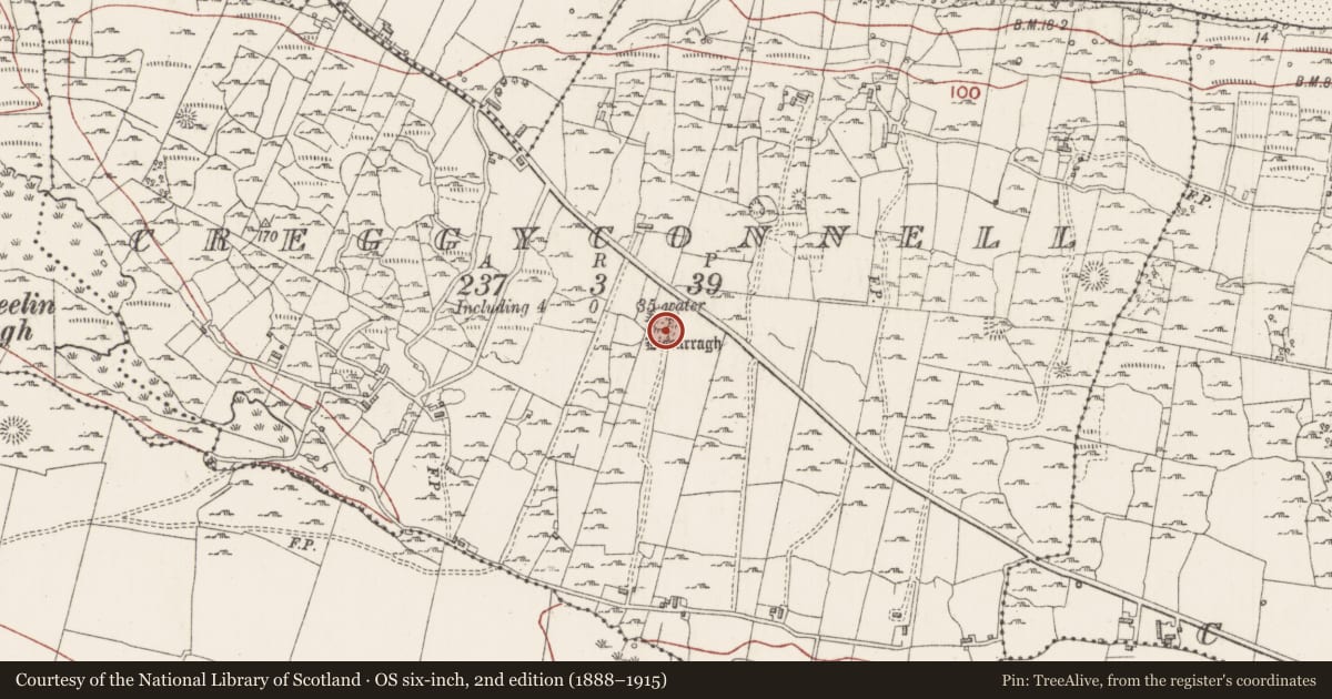 Ordnance Survey six-inch map, 2nd edition (1888–1915) covering the location of Ringfort - rath, Creggyconnell, County Sligo, with a pin at the register's coordinates