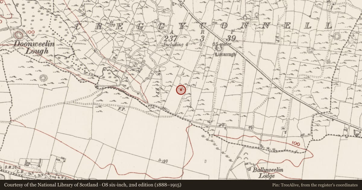 Ordnance Survey six-inch map, 2nd edition (1888–1915) covering the location of Ringfort - cashel, Creggyconnell, County Sligo, with a pin at the register's coordinates