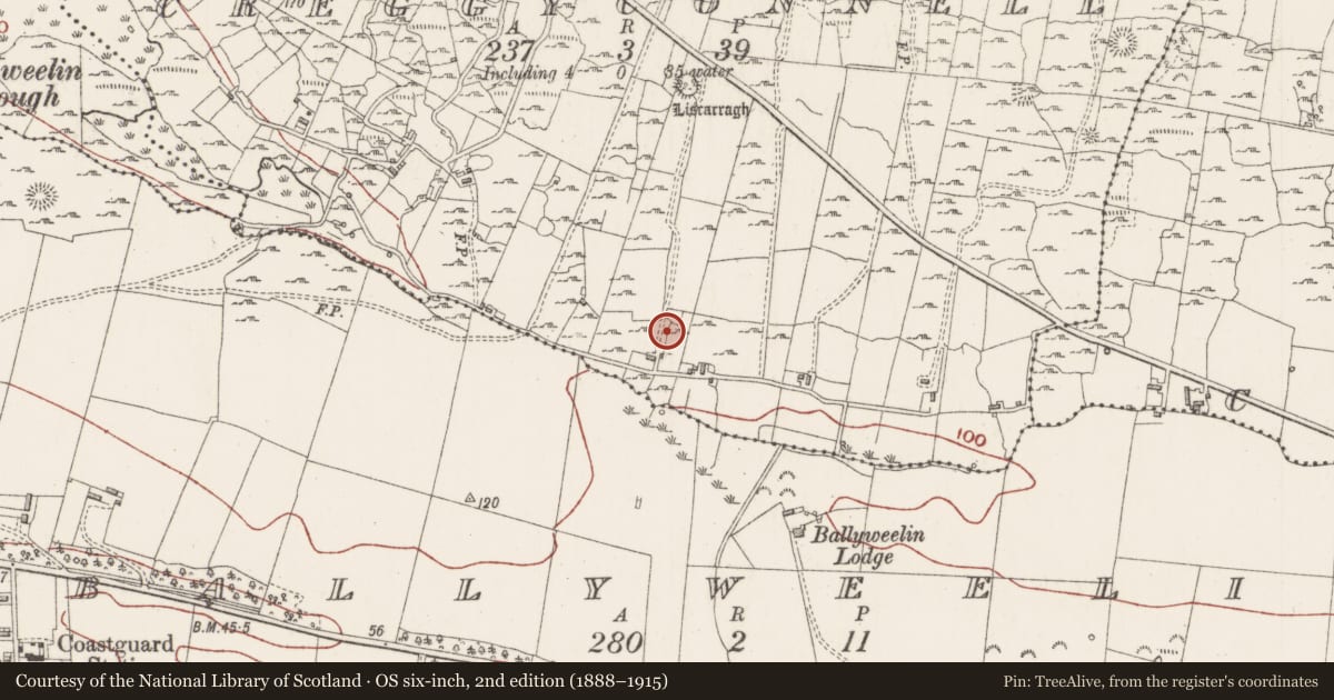 Ordnance Survey six-inch map, 2nd edition (1888–1915) covering the location of Ringfort - unclassified, Creggyconnell, County Sligo, with a pin at the register's coordinates