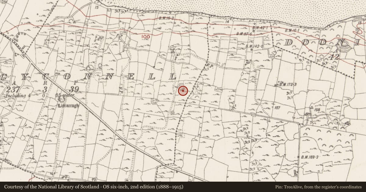 Ordnance Survey six-inch map, 2nd edition (1888–1915) covering the location of Ringfort - rath, Creggyconnell, County Sligo, with a pin at the register's coordinates
