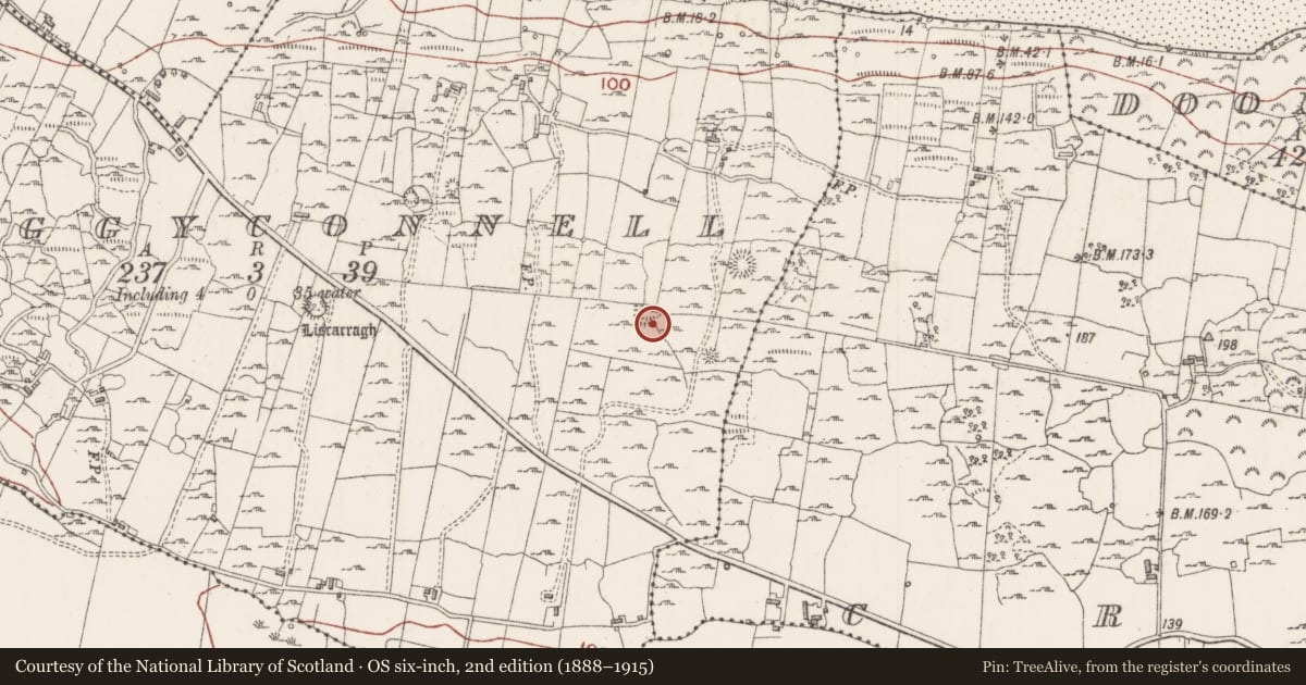 Ordnance Survey six-inch map, 2nd edition (1888–1915) covering the location of Souterrain, Creggyconnell, County Sligo, with a pin at the register's coordinates
