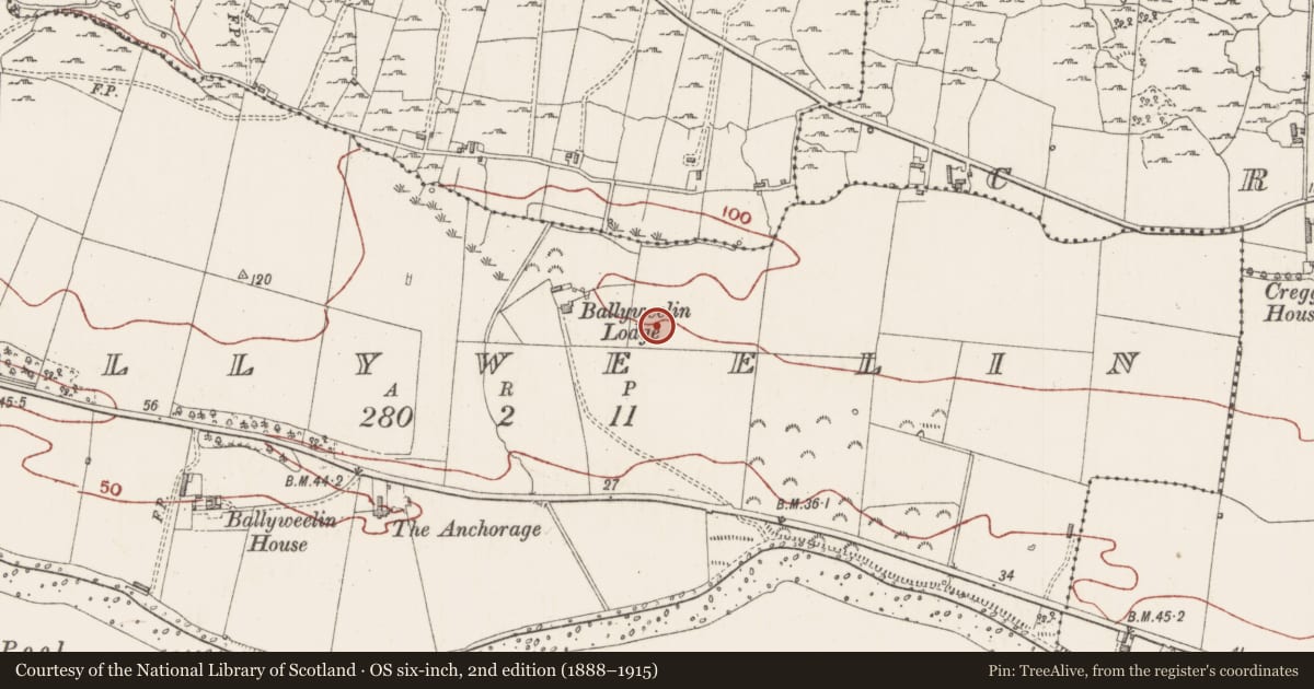 Ordnance Survey six-inch map, 2nd edition (1888–1915) covering the location of Enclosure, Ballyweelin, County Sligo, with a pin at the register's coordinates