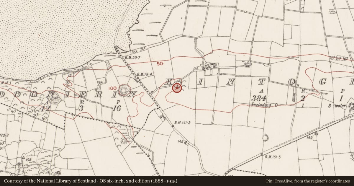 Ordnance Survey six-inch map, 2nd edition (1888–1915) covering the location of Ringfort - rath, Kintogher, County Sligo, with a pin at the register's coordinates
